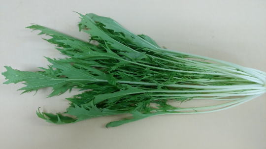 水菜（京菜）